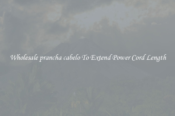 Wholesale prancha cabelo To Extend Power Cord Length