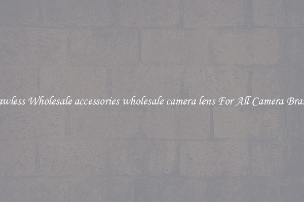 Flawless Wholesale accessories wholesale camera lens For All Camera Brands