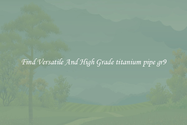 Find Versatile And High Grade titanium pipe gr9