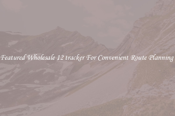 Featured Wholesale 12 tracker For Convenient Route Planning 