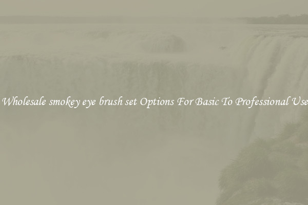 Wholesale smokey eye brush set Options For Basic To Professional Use