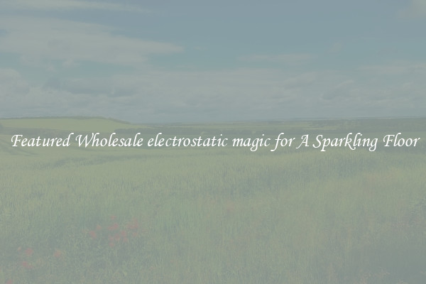Featured Wholesale electrostatic magic for A Sparkling Floor