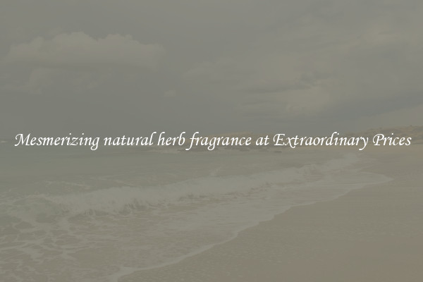 Mesmerizing natural herb fragrance at Extraordinary Prices