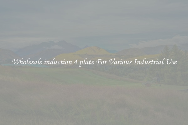 Wholesale induction 4 plate For Various Industrial Use
