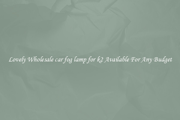 Lovely Wholesale car fog lamp for k2 Available For Any Budget