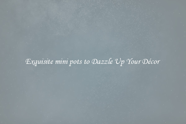 Exquisite mini pots to Dazzle Up Your Décor 