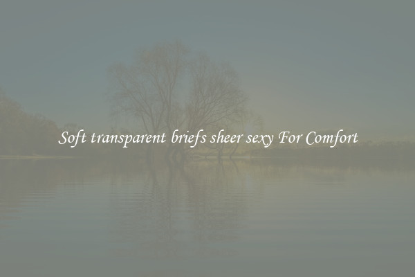 Soft transparent briefs sheer sexy For Comfort