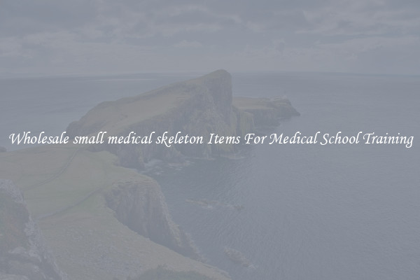 Wholesale small medical skeleton Items For Medical School Training