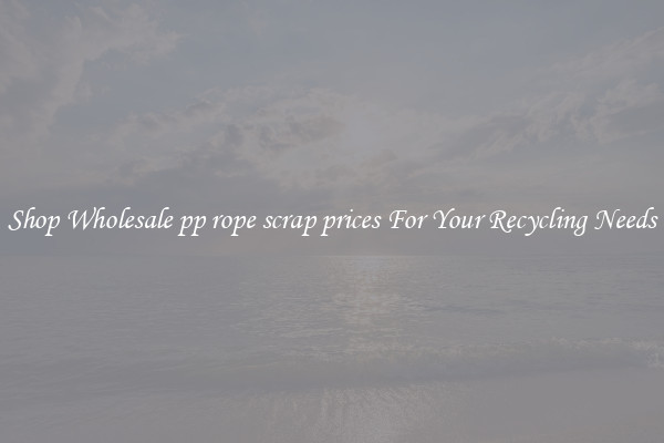 Shop Wholesale pp rope scrap prices For Your Recycling Needs