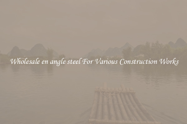 Wholesale en angle steel For Various Construction Works