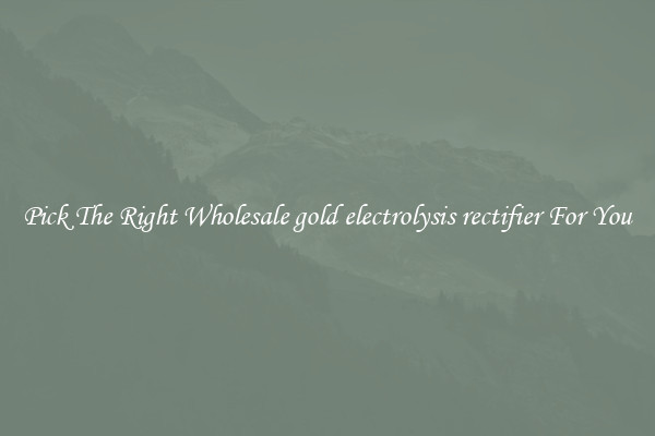 Pick The Right Wholesale gold electrolysis rectifier For You