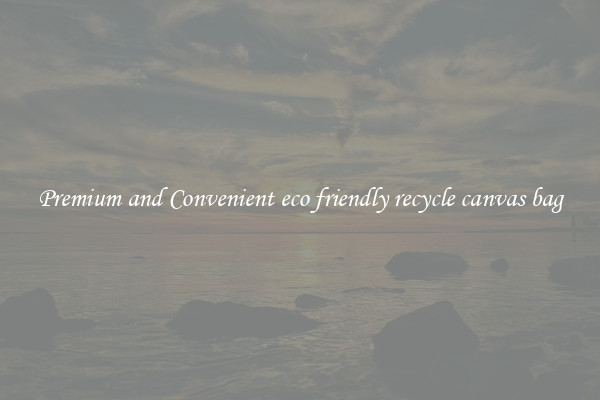 Premium and Convenient eco friendly recycle canvas bag
