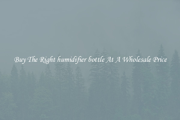 Buy The Right humidifier bottle At A Wholesale Price