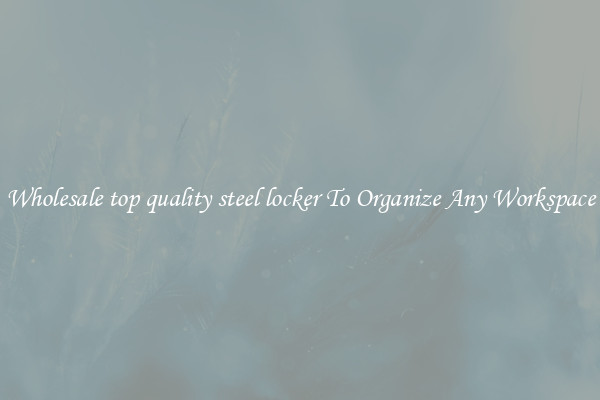 Wholesale top quality steel locker To Organize Any Workspace