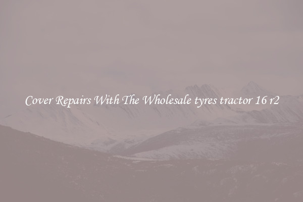  Cover Repairs With The Wholesale tyres tractor 16 r2 