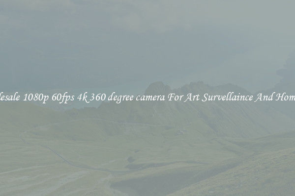 Wholesale 1080p 60fps 4k 360 degree camera For Art Survellaince And Home Use